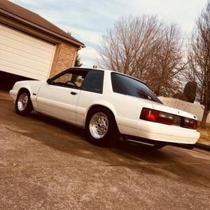 Meet your Posher, Chase